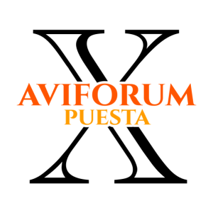 Profesionales del sector (puesta 2025)