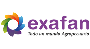 Exafan